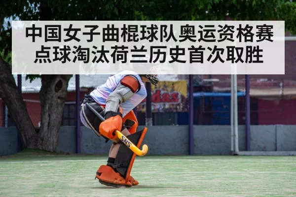 field hockey goalkeeper save